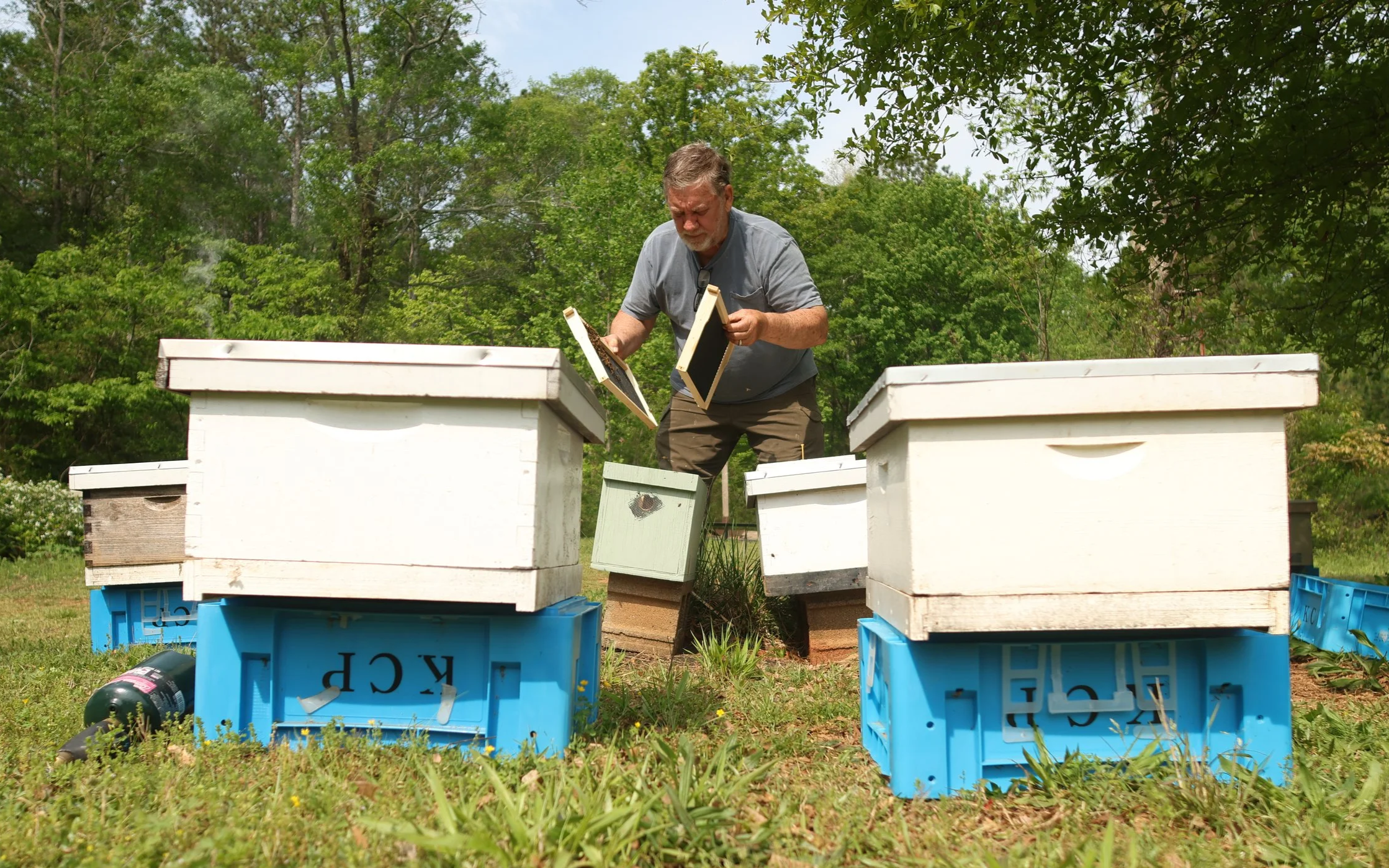 Tom Hankins tends to his beehives in Danielsville, Georgia, on April 14, 2025. He checks the hives weekly to ensure the bees are thriving.