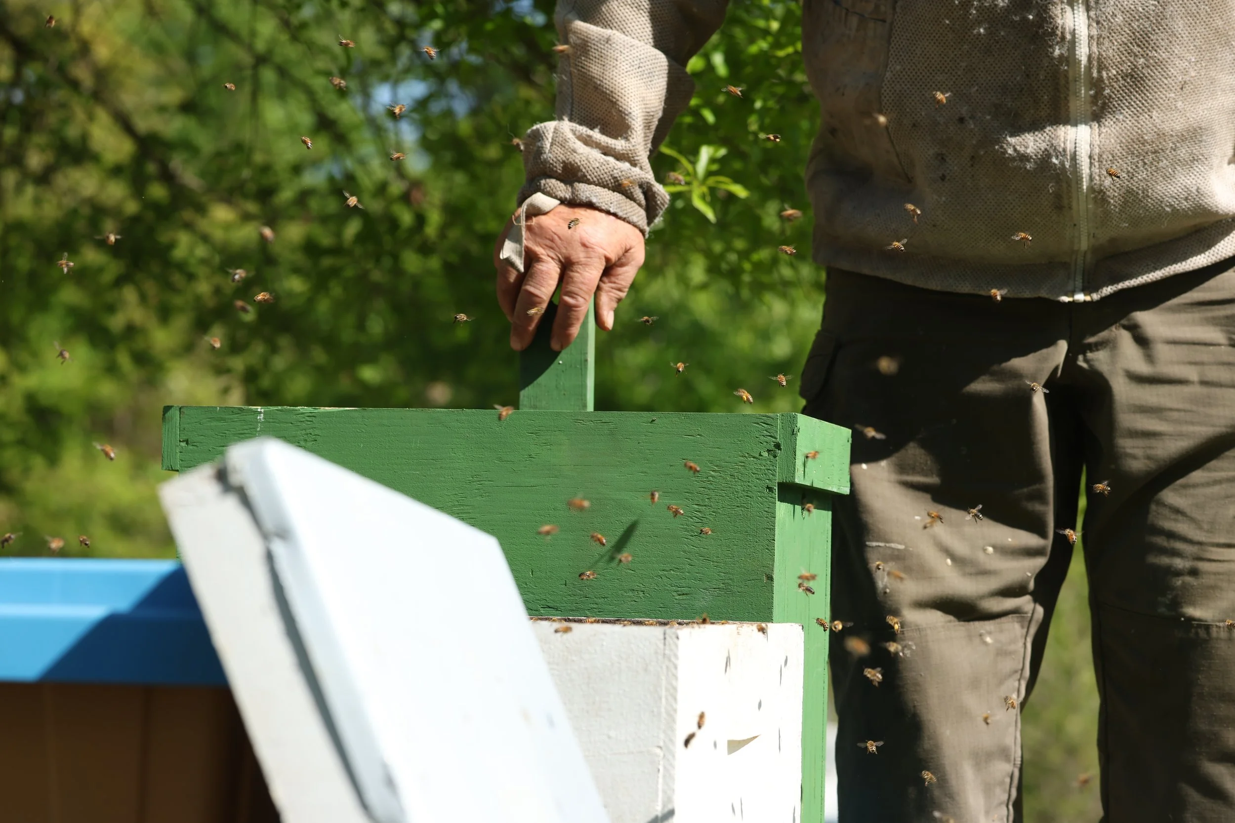 Tom Hankins tends to his beehives in Danielsville, Georgia, on April 14, 2025. He checks the hives weekly to ensure the bees are thriving.