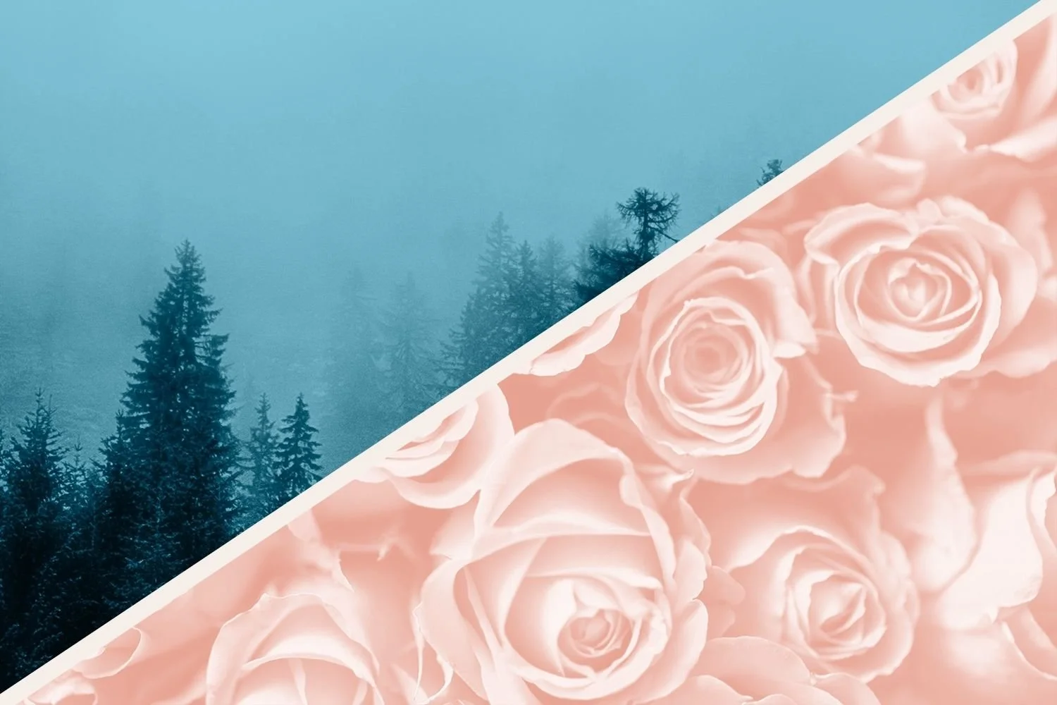 Unrivaled Regular Season: Mist @ Rose