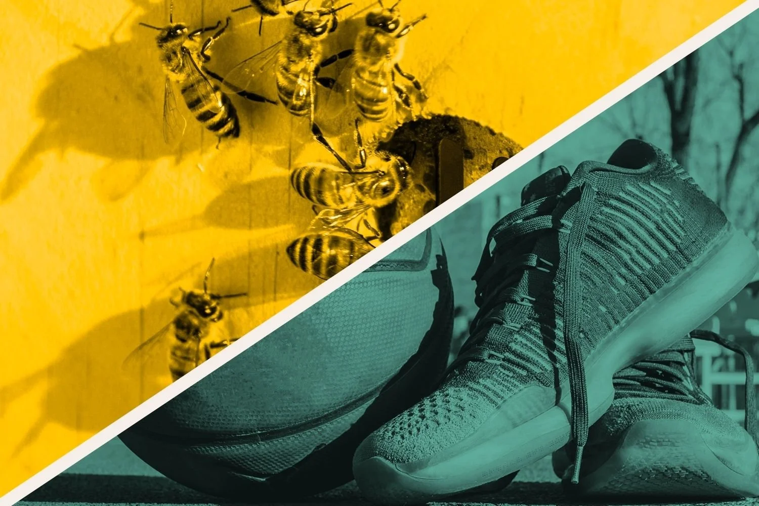 Unrivaled Regular Season: Hive @ Laces