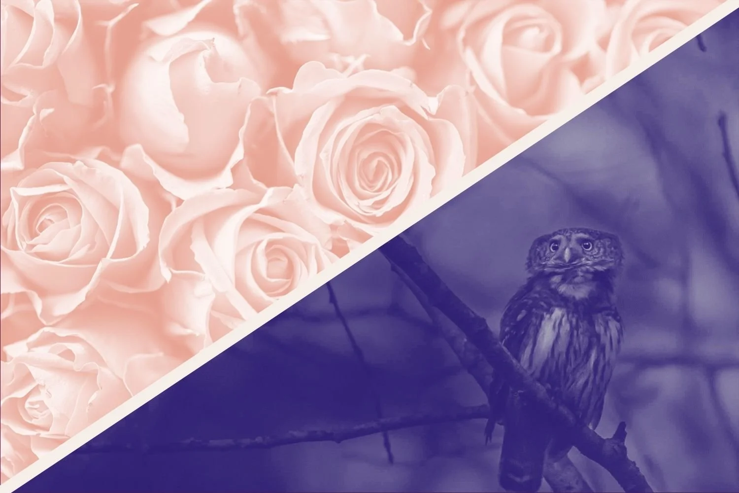 Unrivaled Regular Season: Rose @ Lunar Owls