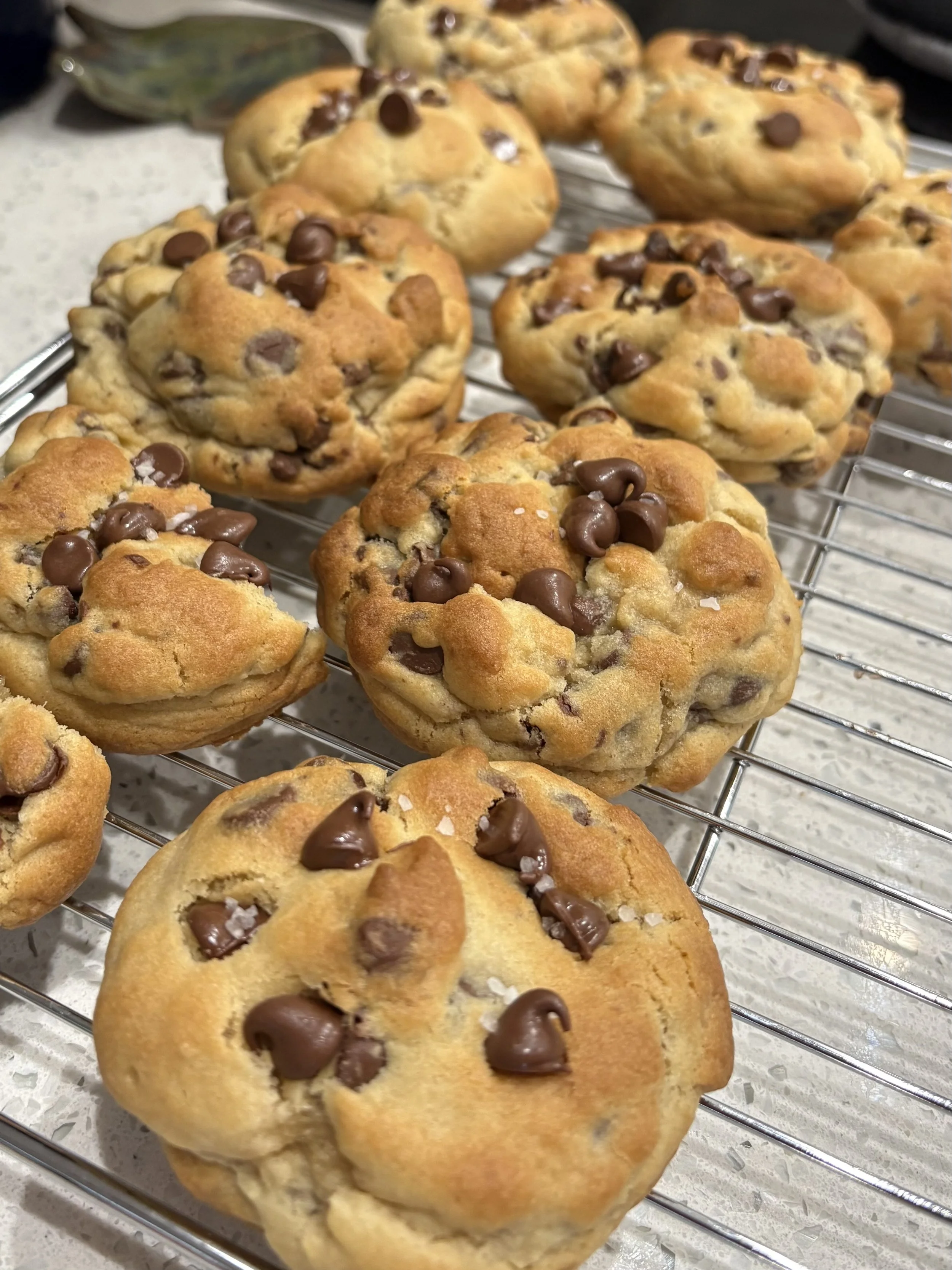 NY-Style Chocolate Chip