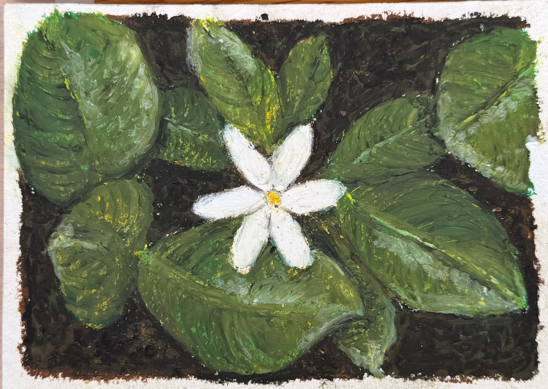 Peinture d'une fleur blanche avec cinq pétales, entourée de grandes feuilles vertes foncées sur un fond sombre.