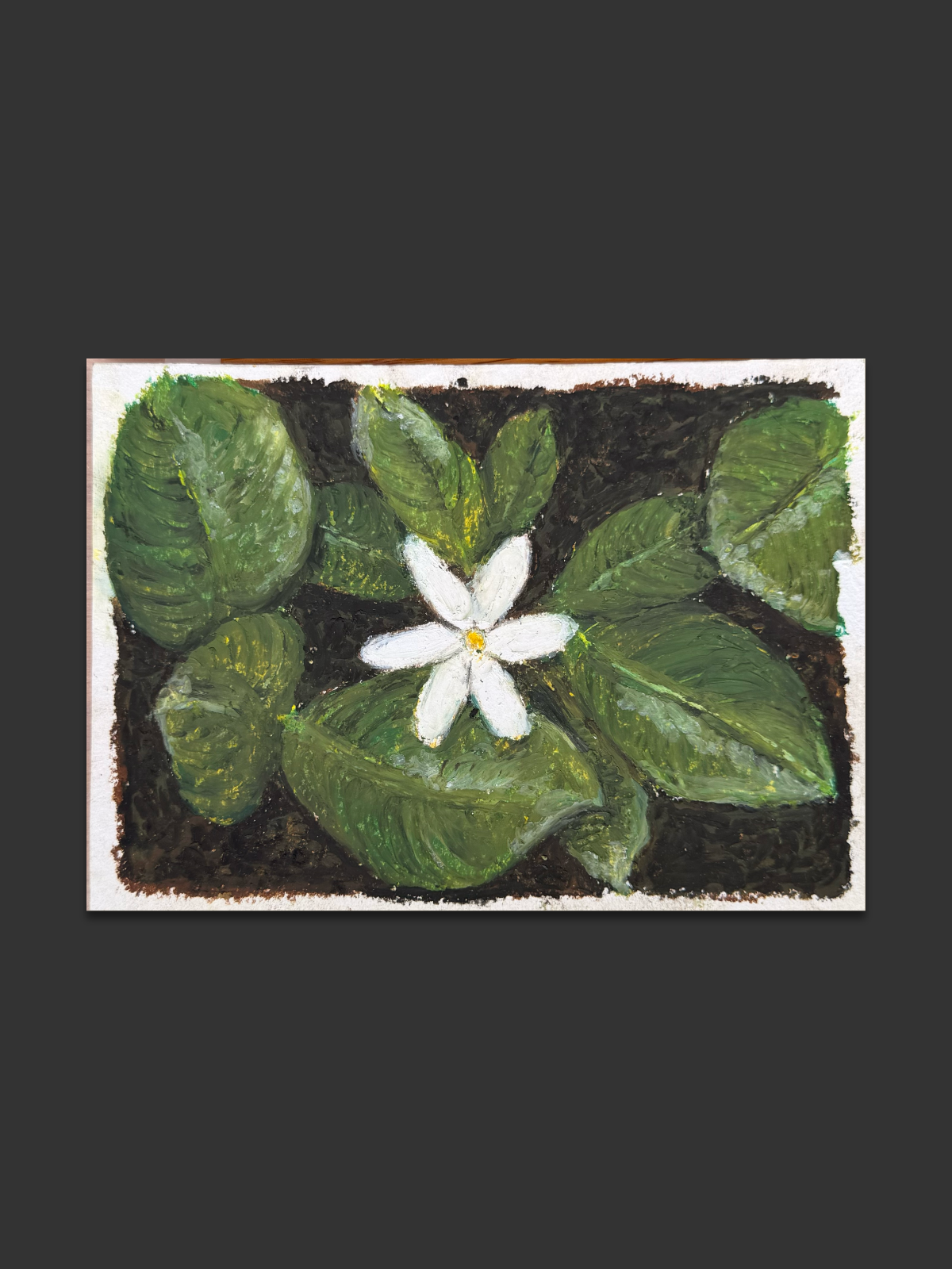 La première fleur