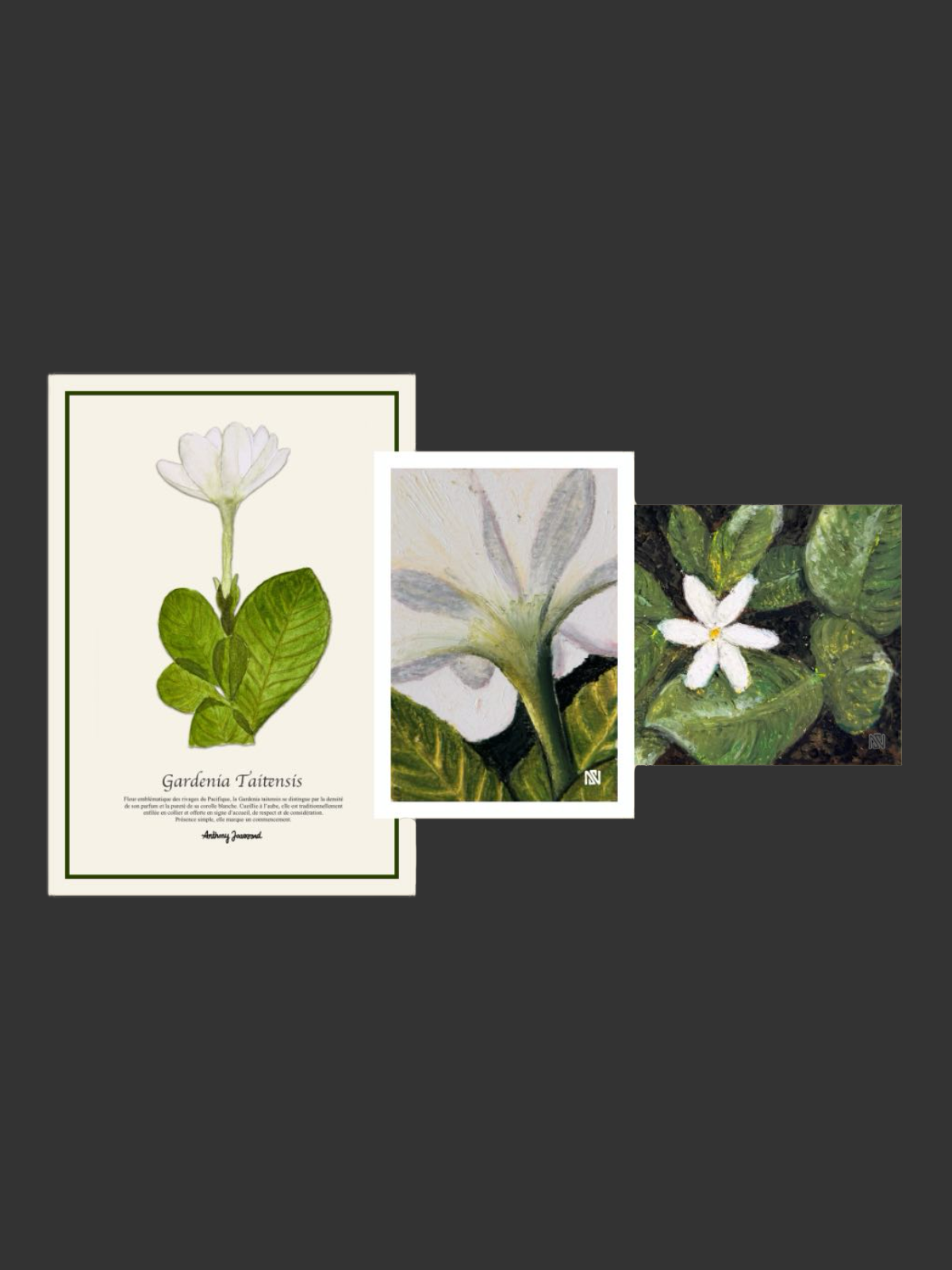 La première fleur