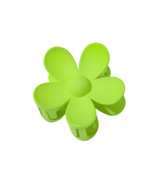 Screenshot 2026-02-25 20.06.55.png