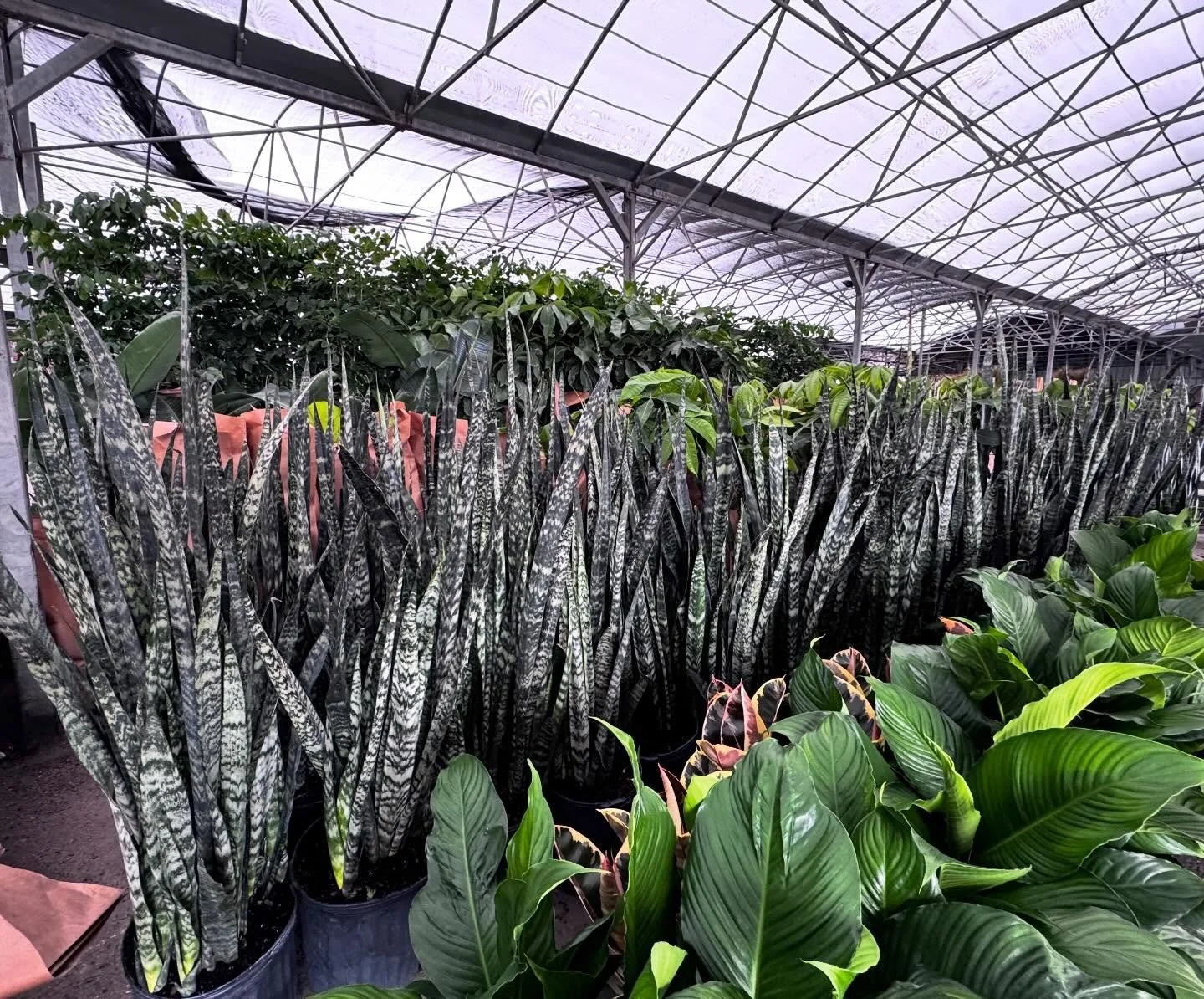 Orders lined up and going out &hellip;. 🚛