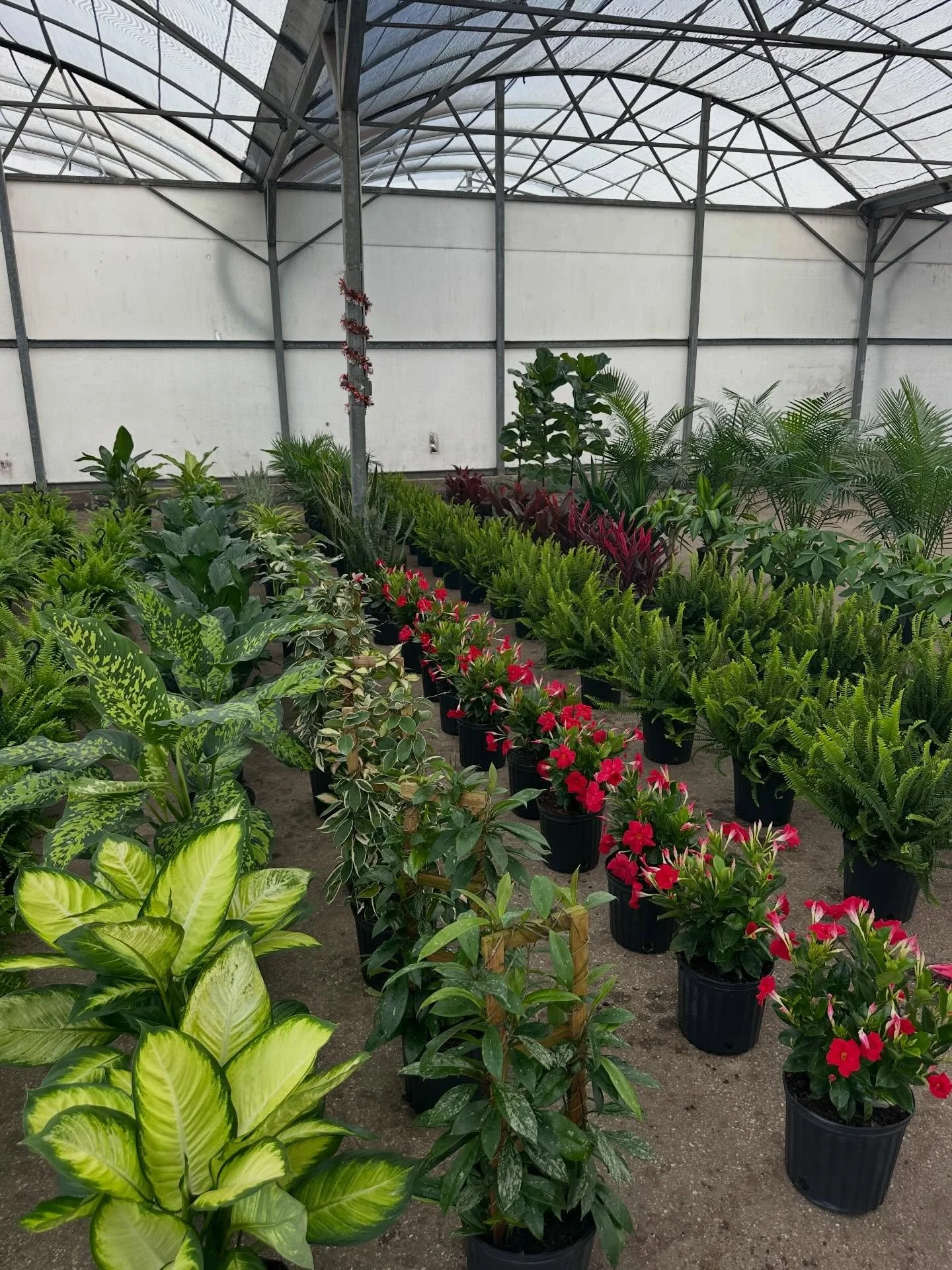 Monday morning orders going out and coming your way&hellip;. 📬🌴