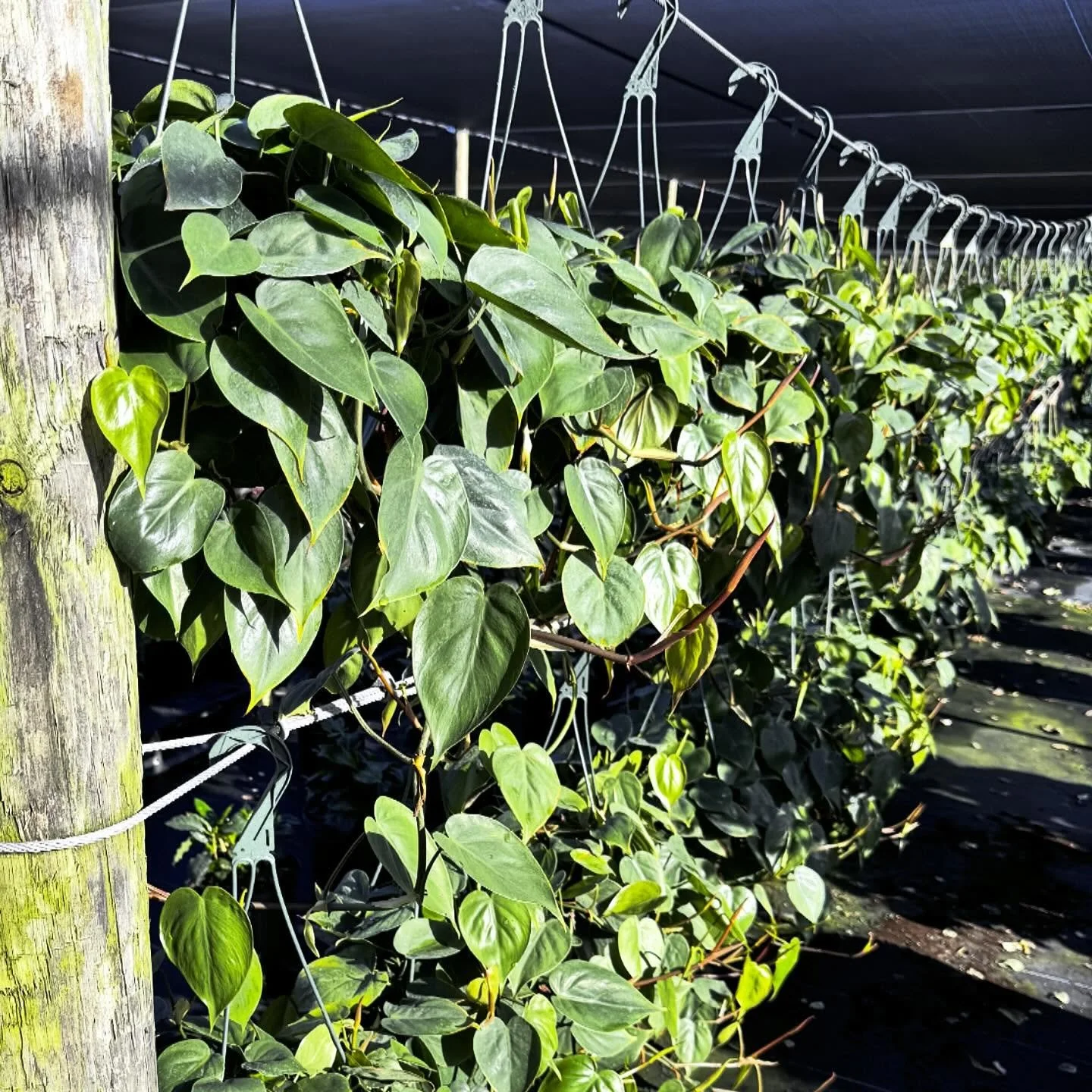 Hanging around on a Friday sounds like the way to end the week&hellip;.