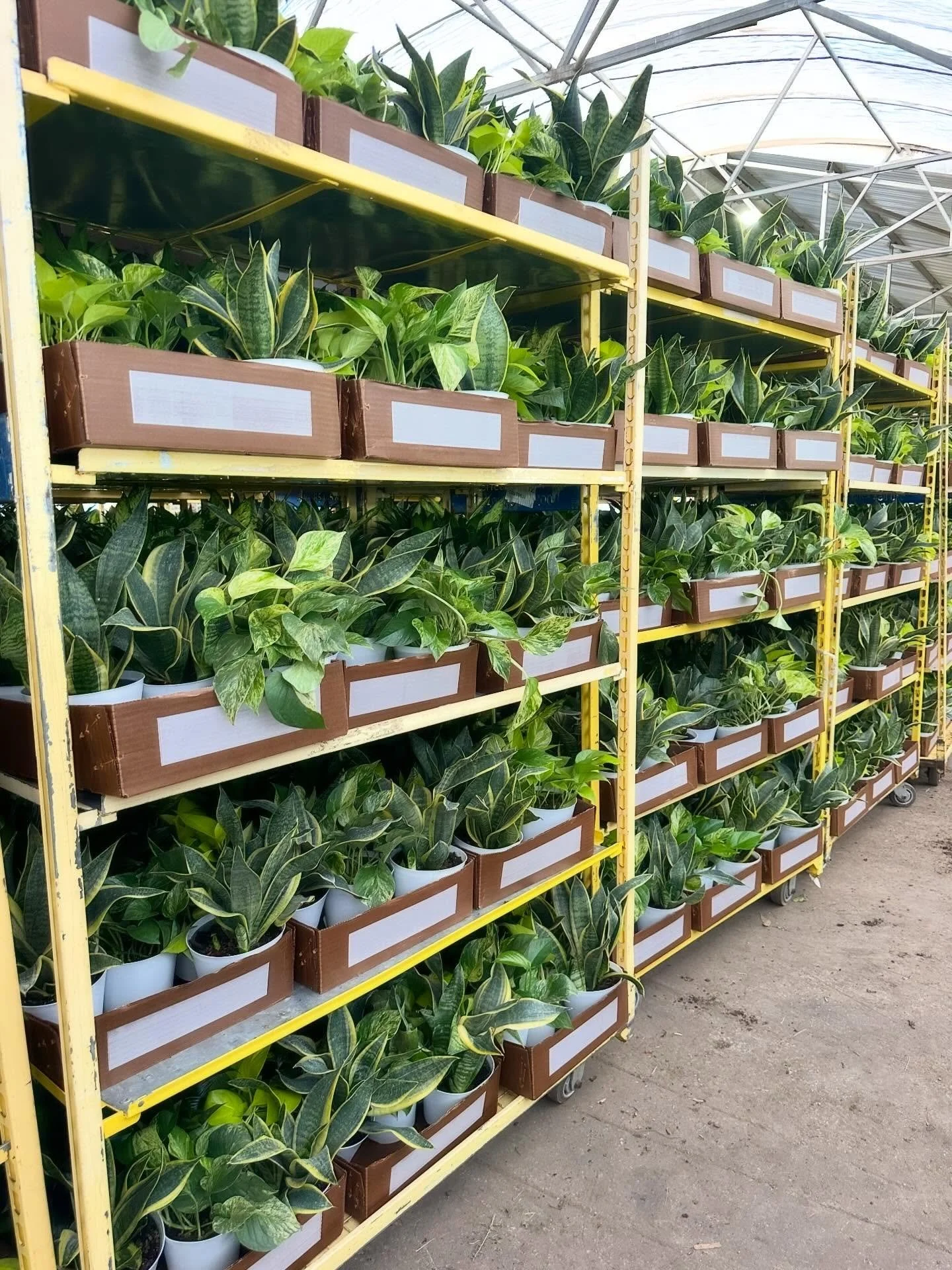 Retail ready&hellip;. See what&rsquo;s on our racks and headed to your stores 🪴