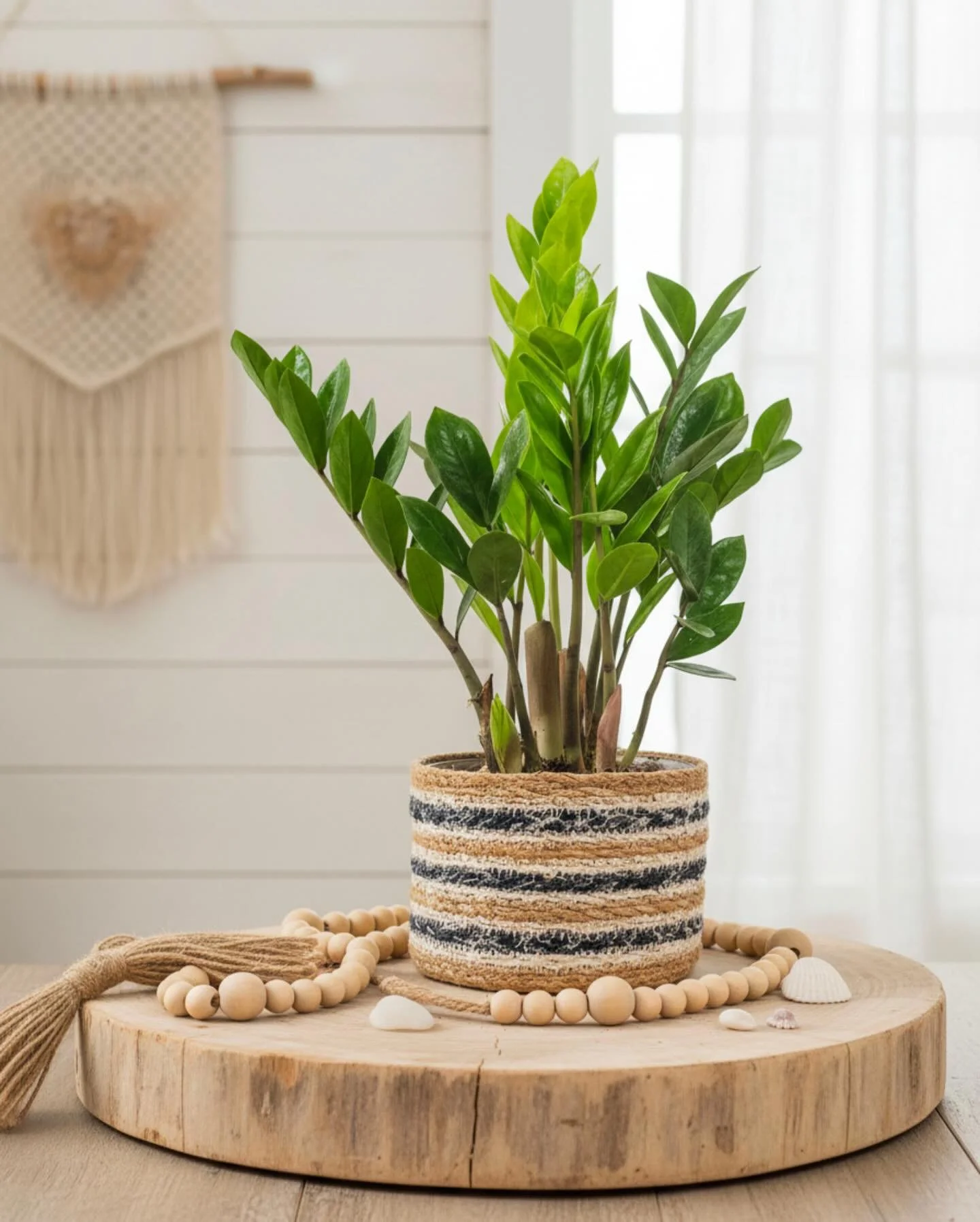Need inspo on how the plant will look in your home? Add our Seagrass and Denim pot cover to your plant orders. These are sure to add a spring and summer vibe to any space ☀️