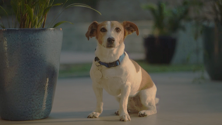 Título da publicação do blog 2