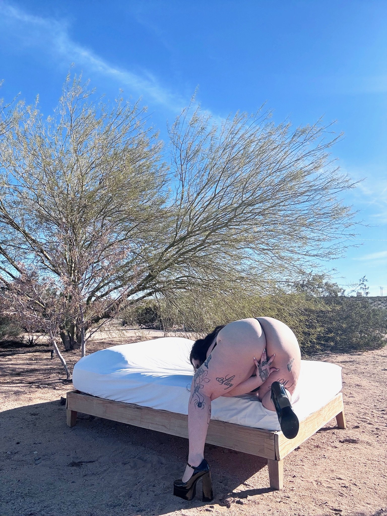A nude woman with tattoos is on a bed outdoors in a desert landscape, wearing black high heels, with a tree and blue sky in the background.