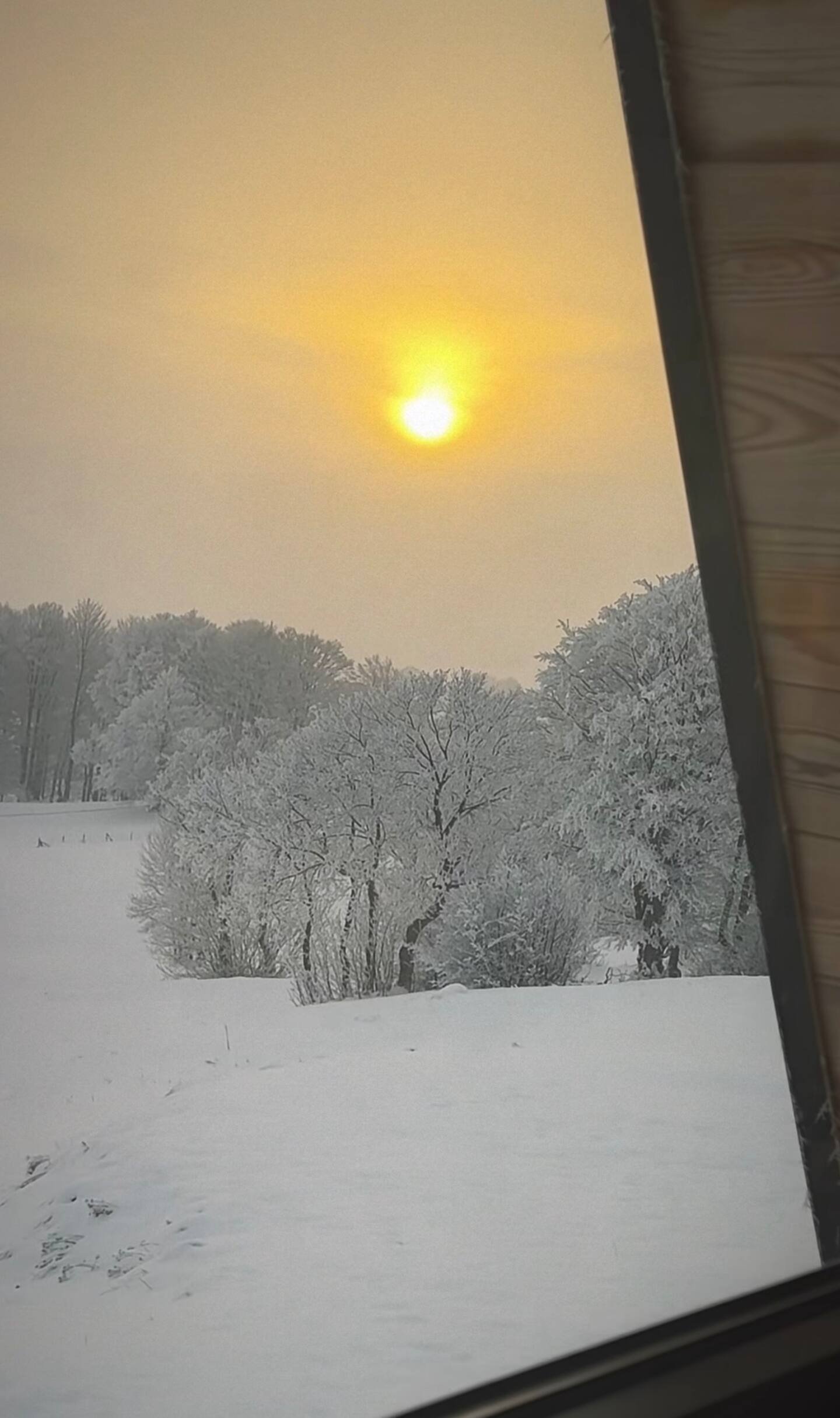 Snow-covered landscape with trees and a horizon, viewed through a window; the sun is low and hazy in the sky, creating a warm glow.