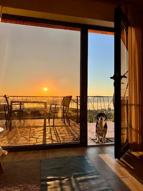 View of a sunset through large glass sliding doors leading to a balcony with outdoor furniture, and a black and white dog sitting on the balcony.