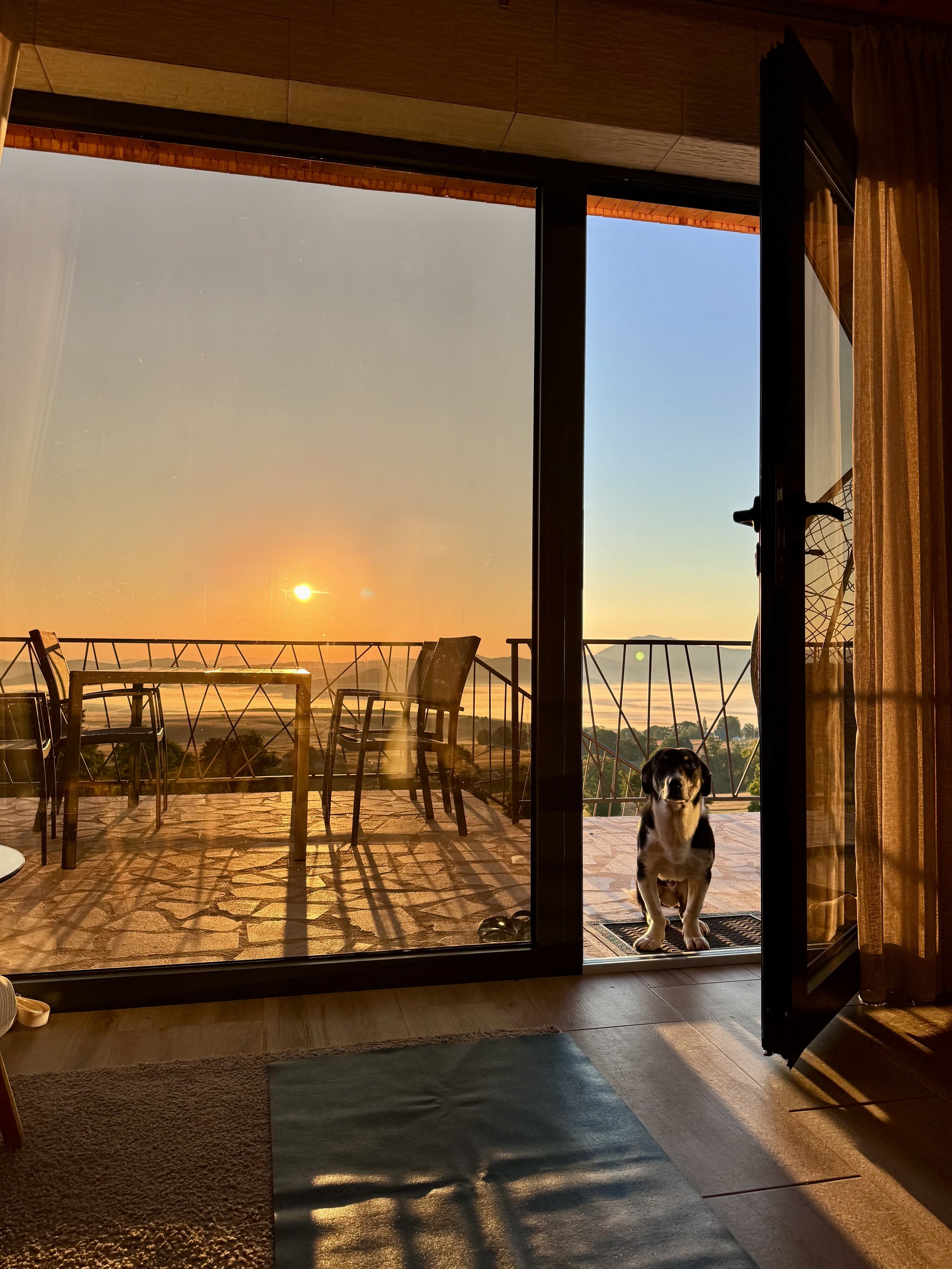 A dog sitting on a doormat at the sliding glass door of a room, looking outside at a sunset on a balcony with chairs and a table.