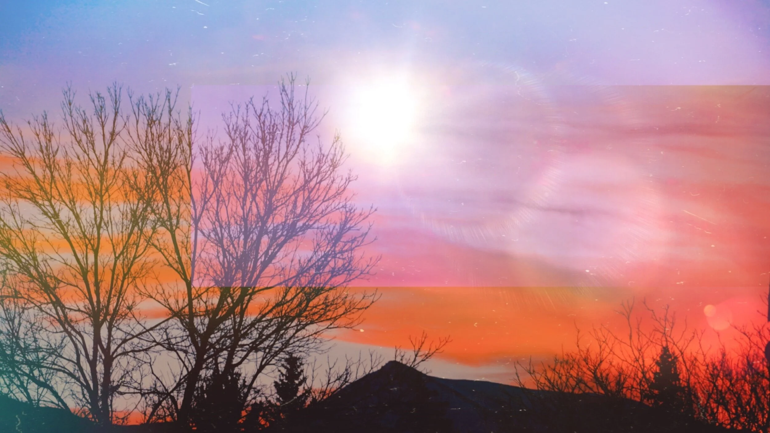 Bare tree branches silhouetted against a pink and orange sky with the sun.