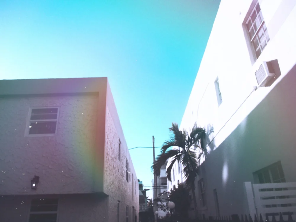 Looking up between two white buildings at a blue sky and a palm tree.