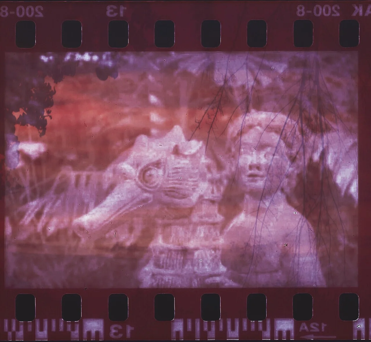 An iron statue of a child riding a large seahorse, with some tree branches visible over the image, and film roll strips on the top and bottom.