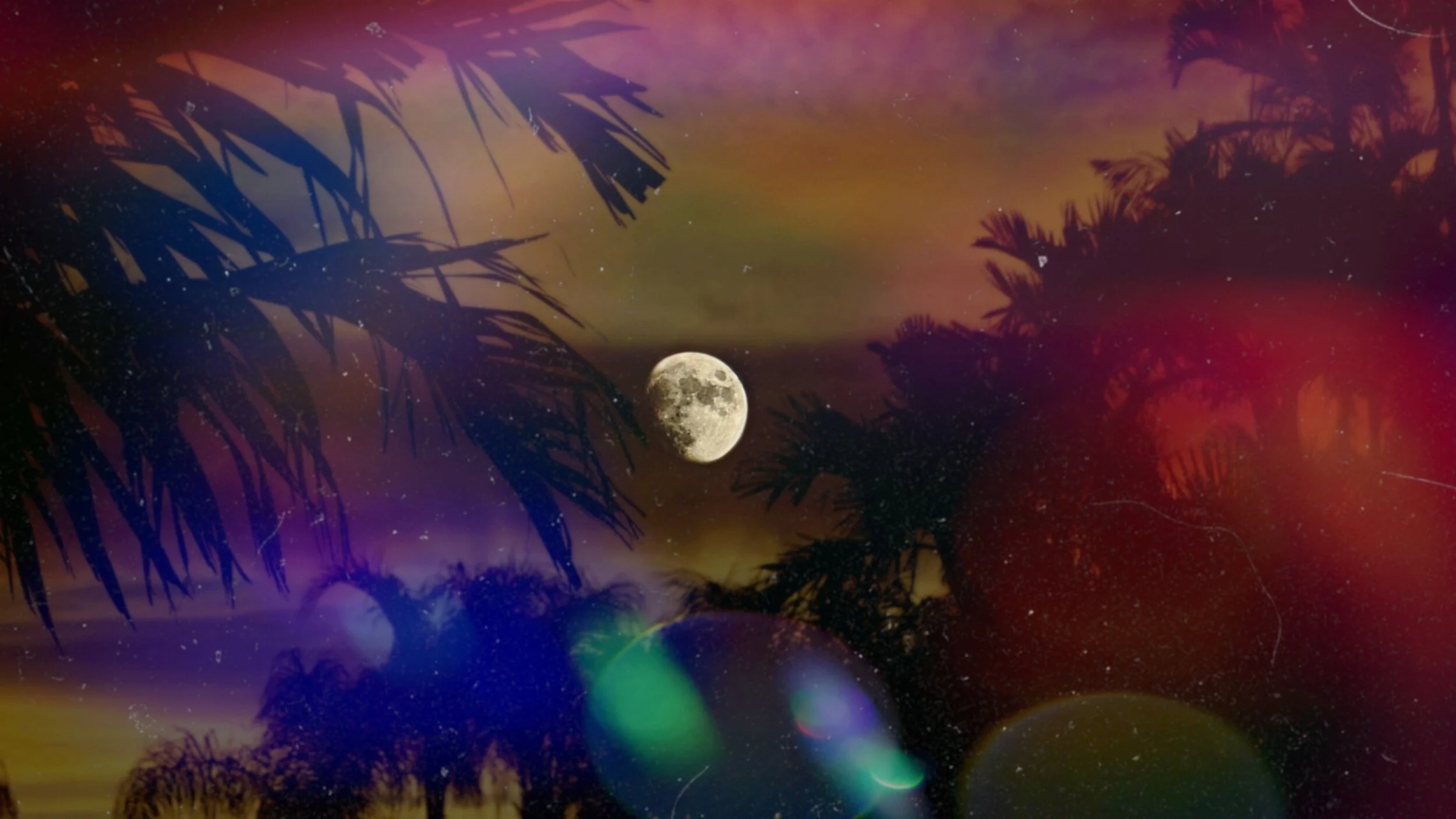 Night sky with full moon visible through silhouetted trees and branches, with colorful lens flare effects