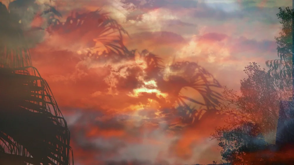 Orange sunset clouds framed by silhouetted foliage.