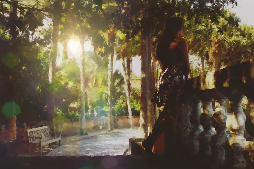 Sunlit garden with palm trees, a bench and a stone balustrade, with a figure in shadow.
