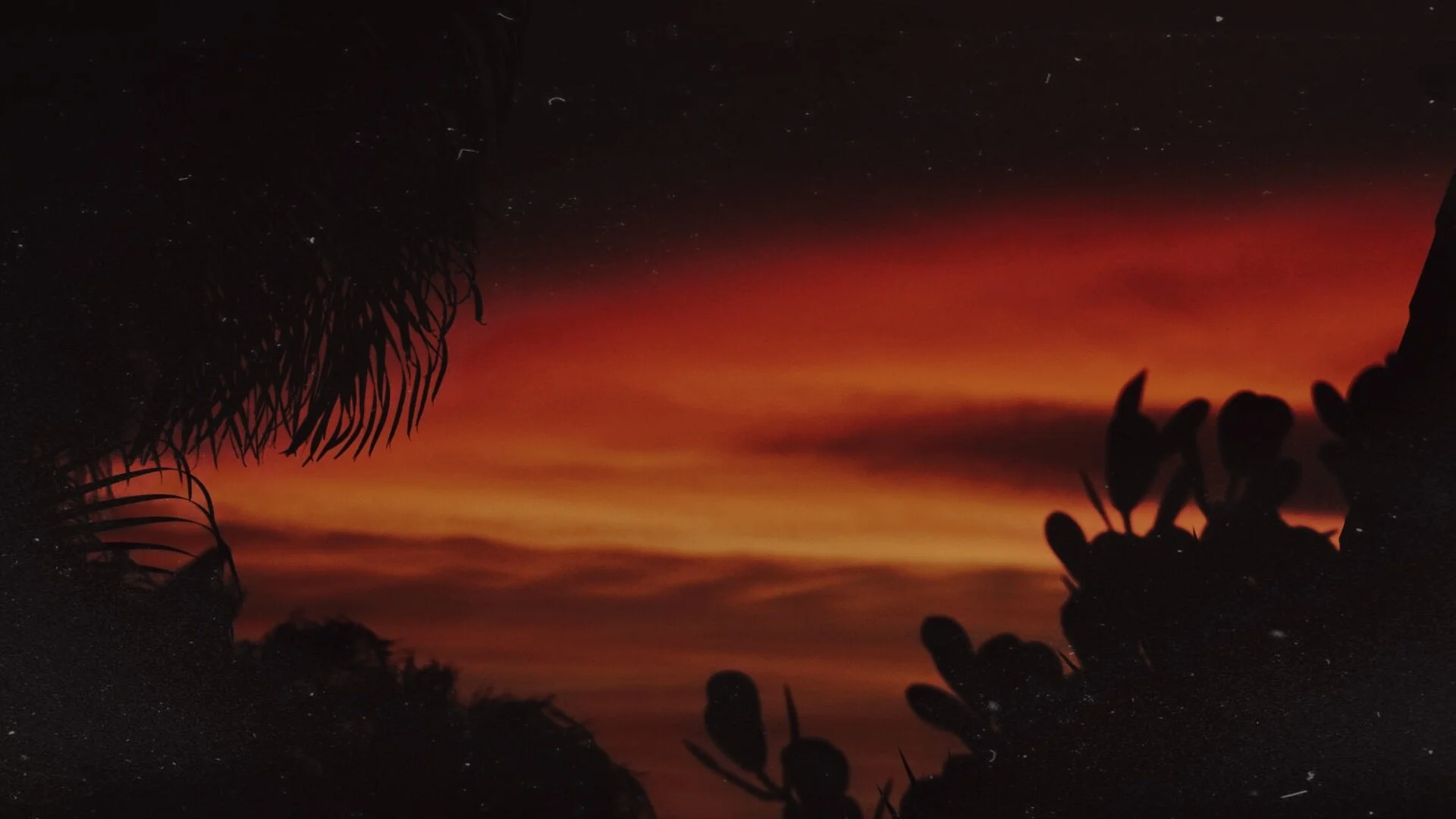 Silhouetted plants against a red and orange sunset sky.