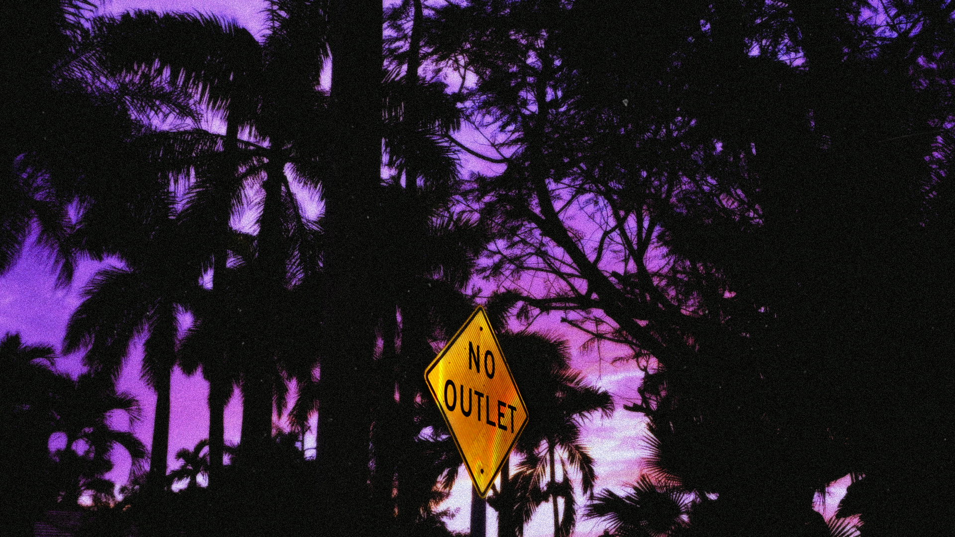 Silhouettes of palm trees against a purple and pink sunset sky, with a yellow diamond-shaped sign that reads "NO OUTLET".