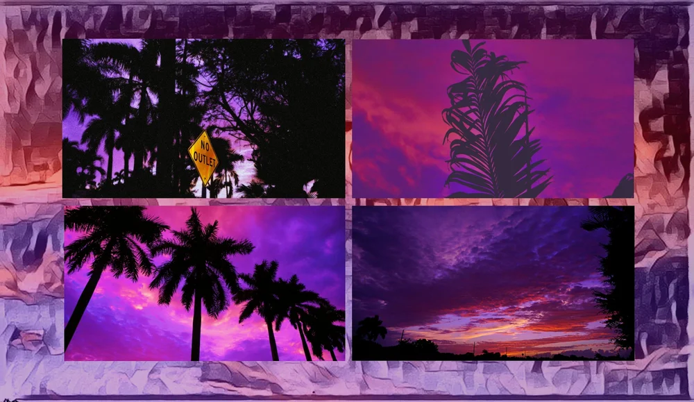 Collage of four photos of palm tree silhouettes against purple sunset skies.