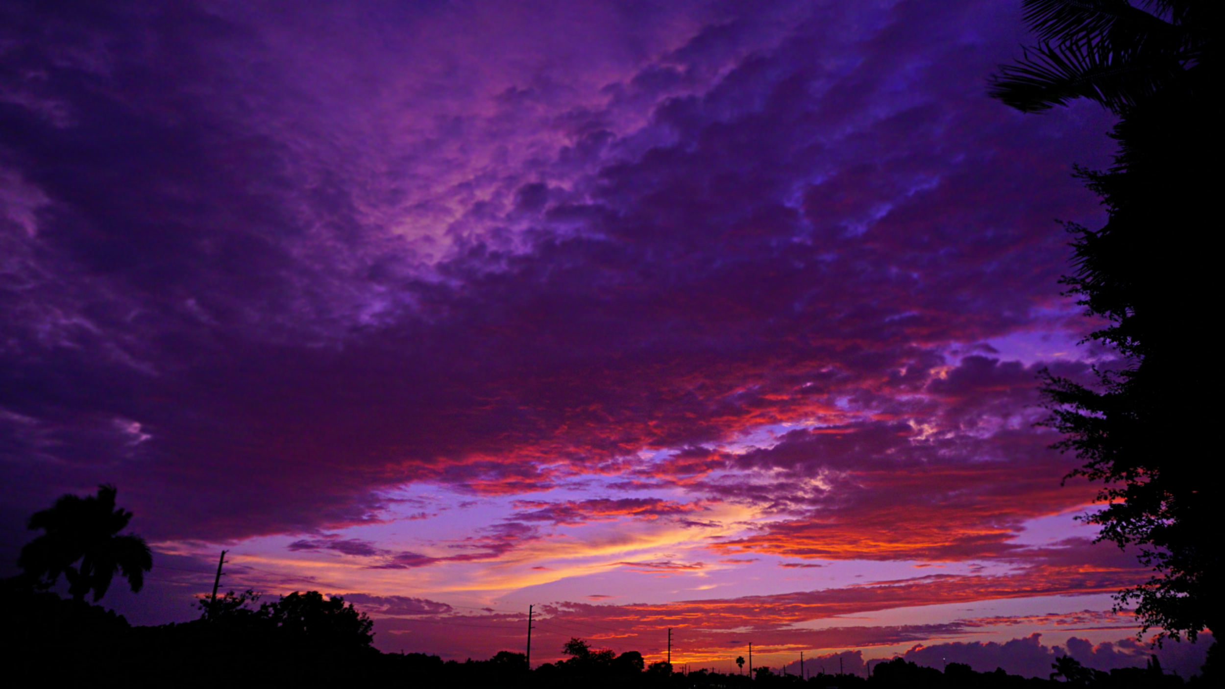 Colorful sunset sky with various shades of purple, pink, and orange, with silhouetted trees and power lines in the foreground.
