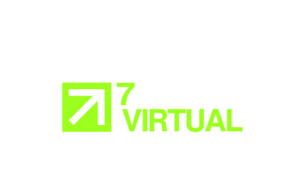 7 Figure Virtual