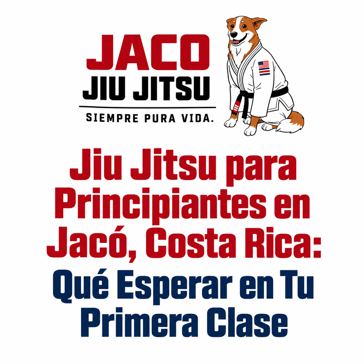 Jiu Jitsu para Principiantes en Jacó, Costa Rica: Qué Esperar en Tu Primera Clase