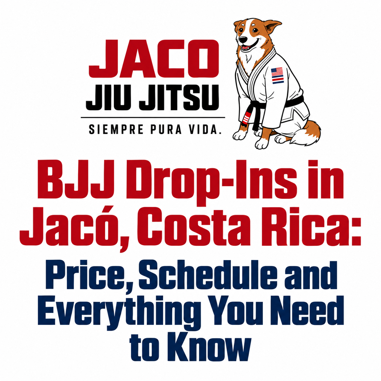 BJJ Drop-Ins in Jacó, Costa Rica: Price, Schedule and Everything You Need to Know