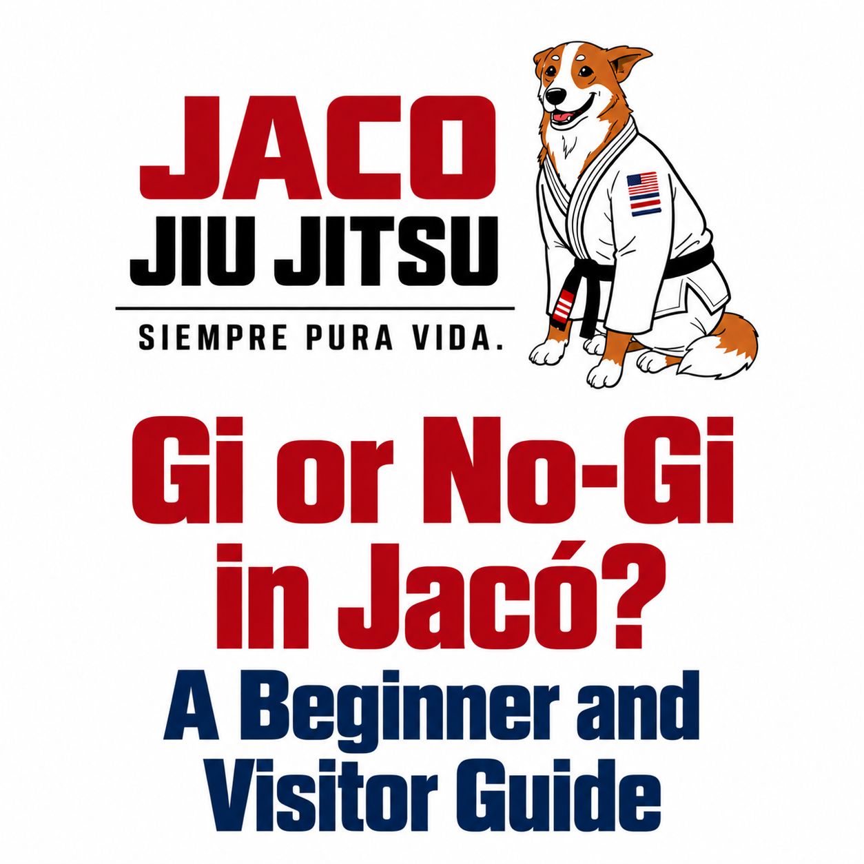 Gi or No-Gi in Jacó? A Beginner and Visitor Guide