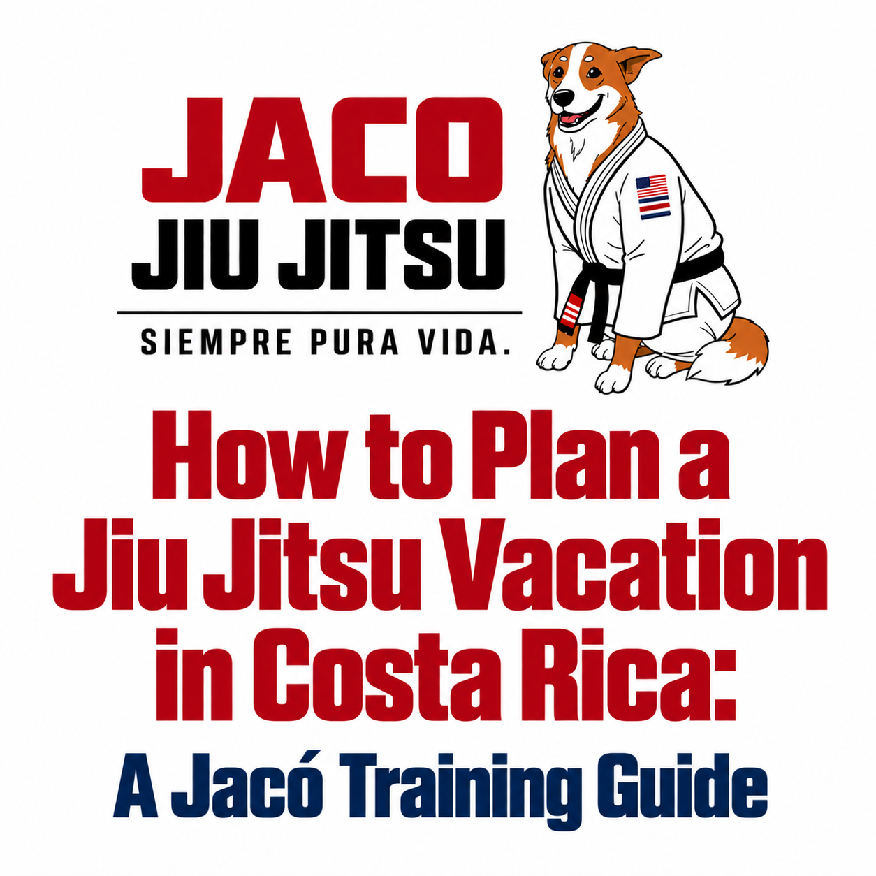 How to Plan a Jiu Jitsu Vacation in Costa Rica: A Jacó Training Guide