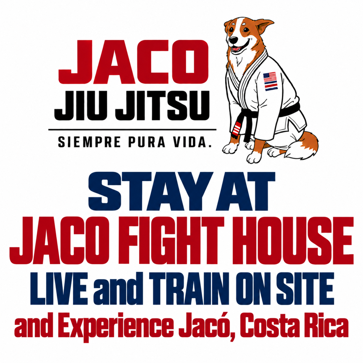 stay at Jaco Fight House: LIVE and TRAIN ON SITE and Experience Jacó, Costa Rica