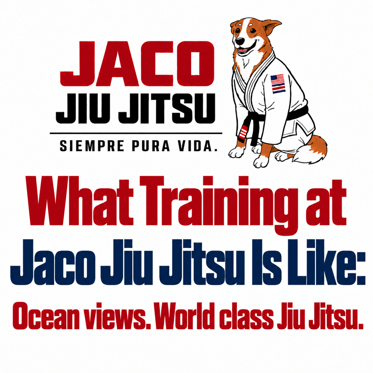 What Training at Jaco Jiu Jitsu Is Like: Ocean views. world class jiu jitsu.