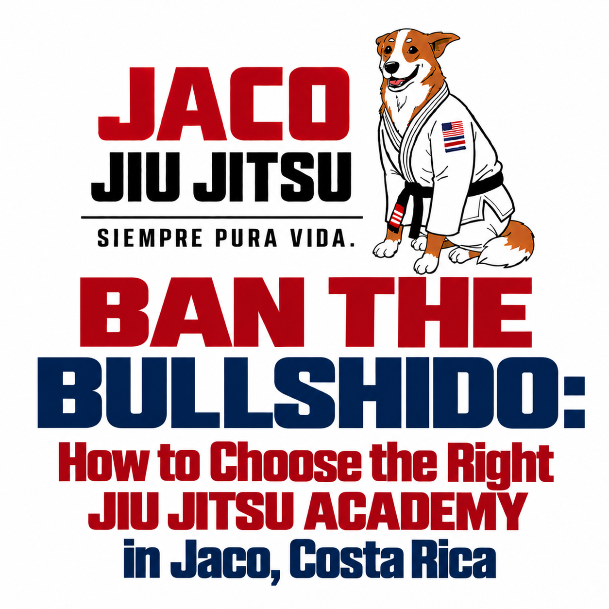 Ban the Bullshido: How to Choose the Right Jiu Jitsu Academy in Jaco, Costa Rica