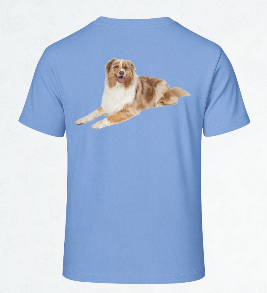 Schermafbeelding 2026-01-20 234406.png