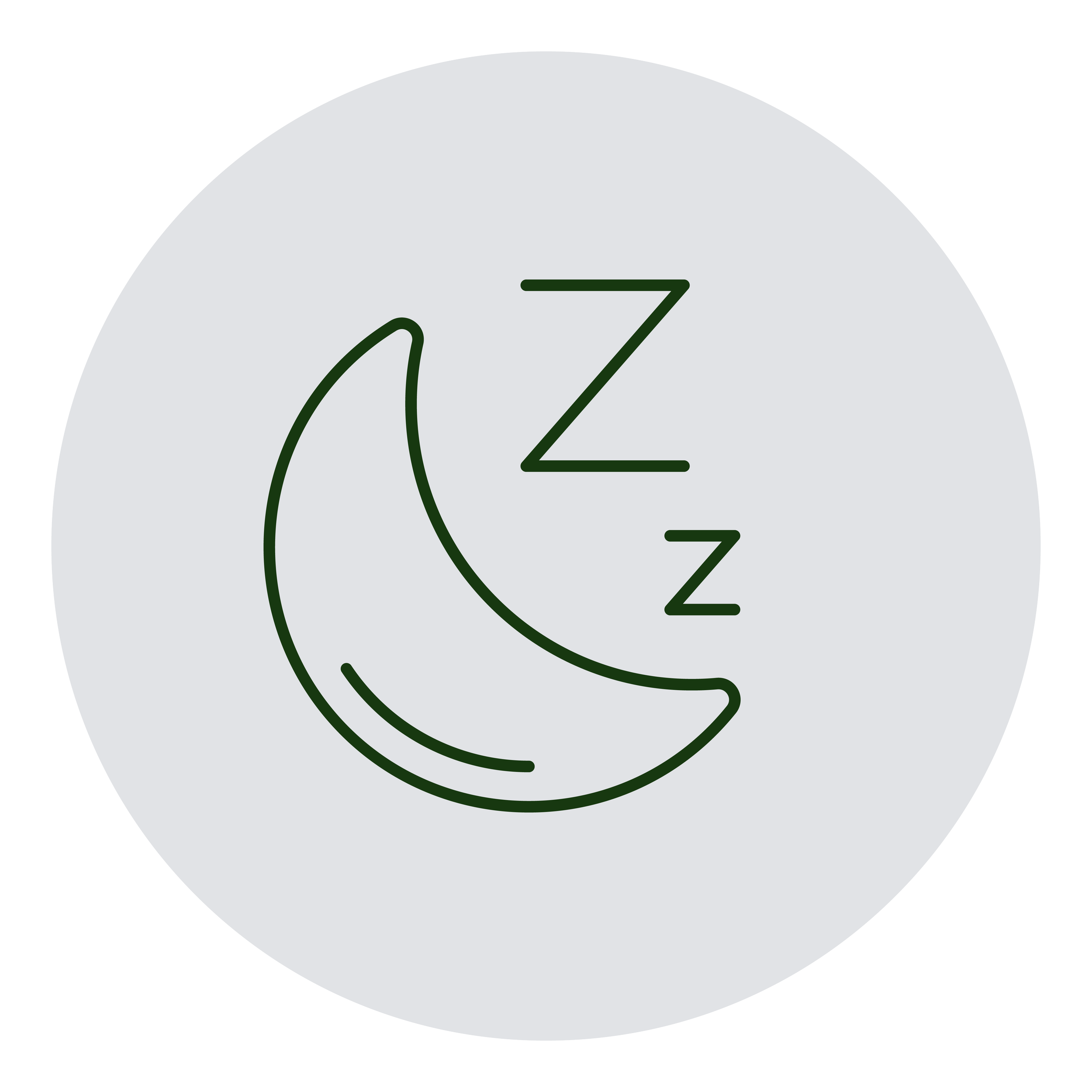 Grey circular icon with a line drawing of a crescent moon and two 'Z' symbols, indicating sleep or nighttime.