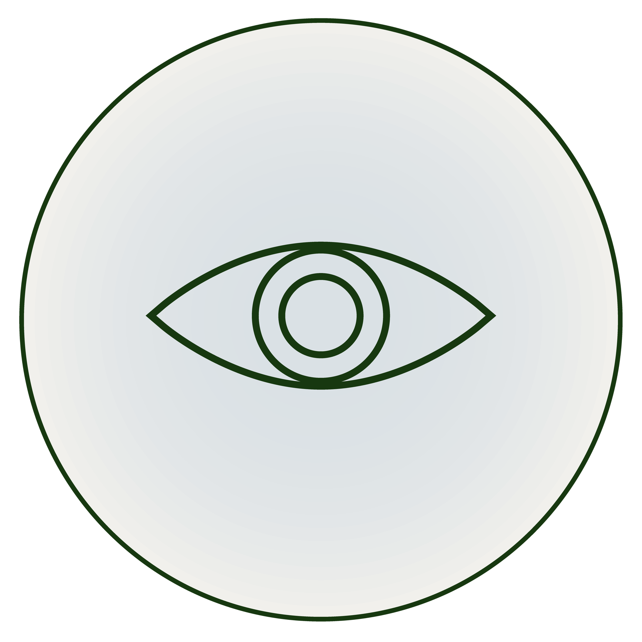 Icon of an eye with concentric circles inside, symbolizing vision or seeing.
