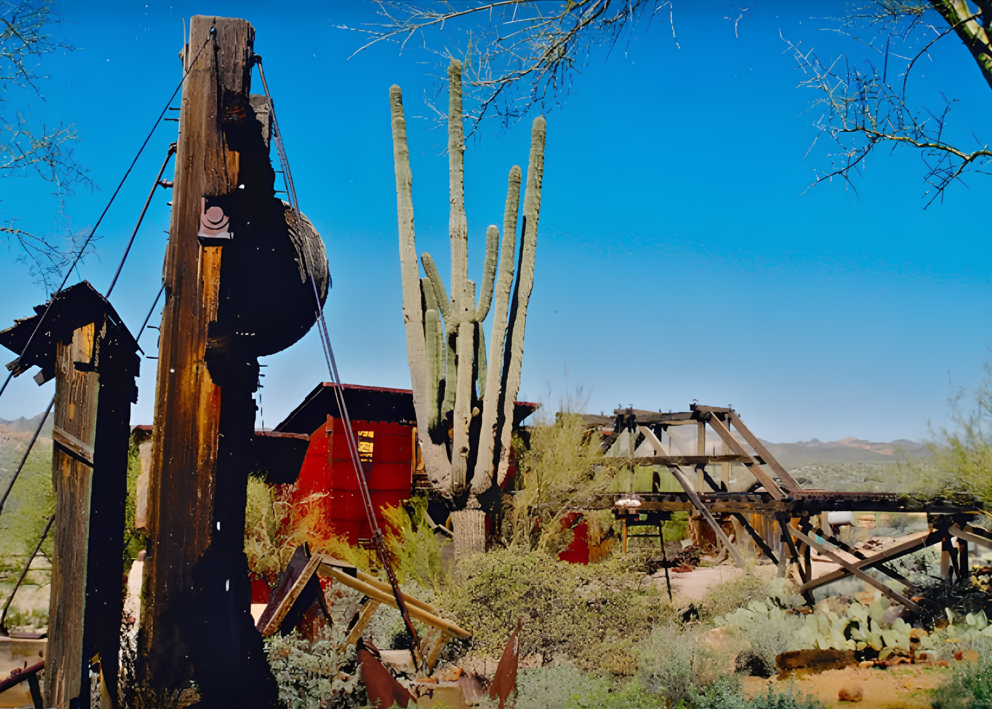 An old, damaged telephone pole with wires hanging down, a dead tree with many tall, white cactus-like branches, and a partially collapsed wooden structure in a desert landscape with mountains in the background under a clear blue sky.