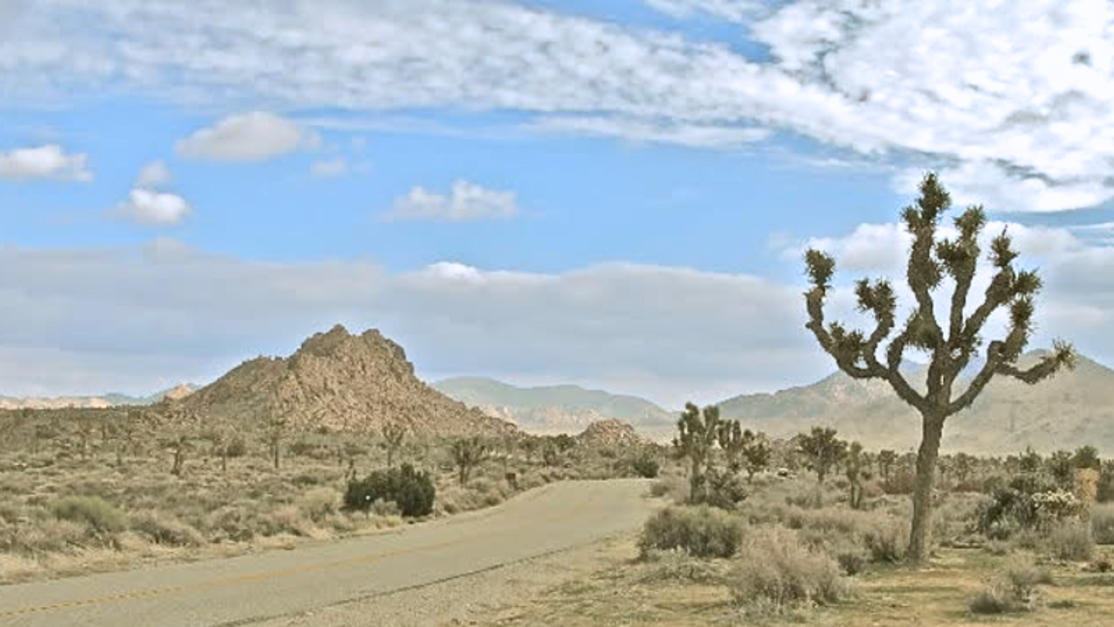 Desert landscape with rocky hills, sparse vegetation, and a large Joshua tree in the foreground under a partly cloudy sky.