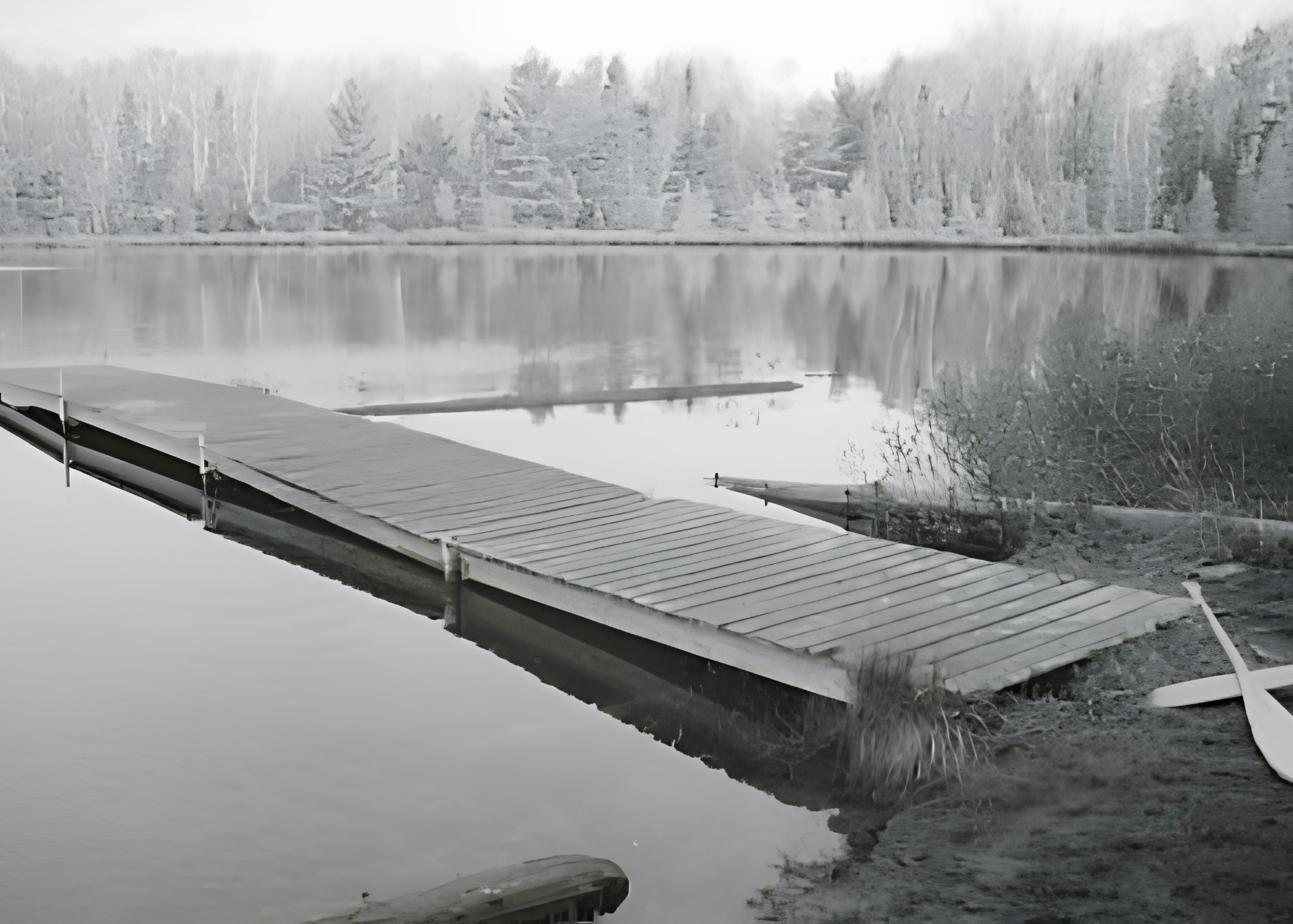 A winter scene with a frozen lake, snow-covered trees, and a dock extending into the water, all reflected in the ice and water surfaces.