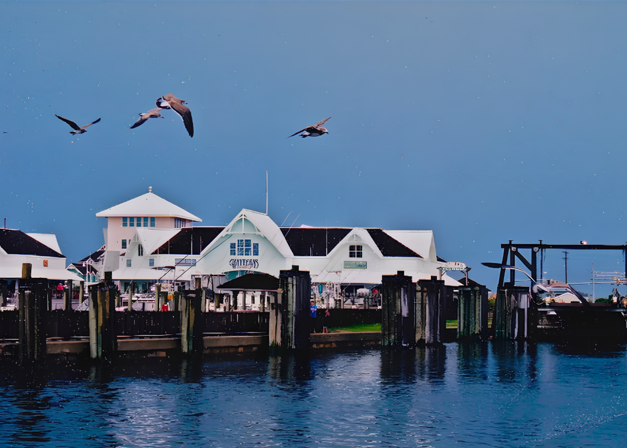 Seafood restaurant with white buildings and a dock, seagulls flying above, and dark water reflecting the structures.