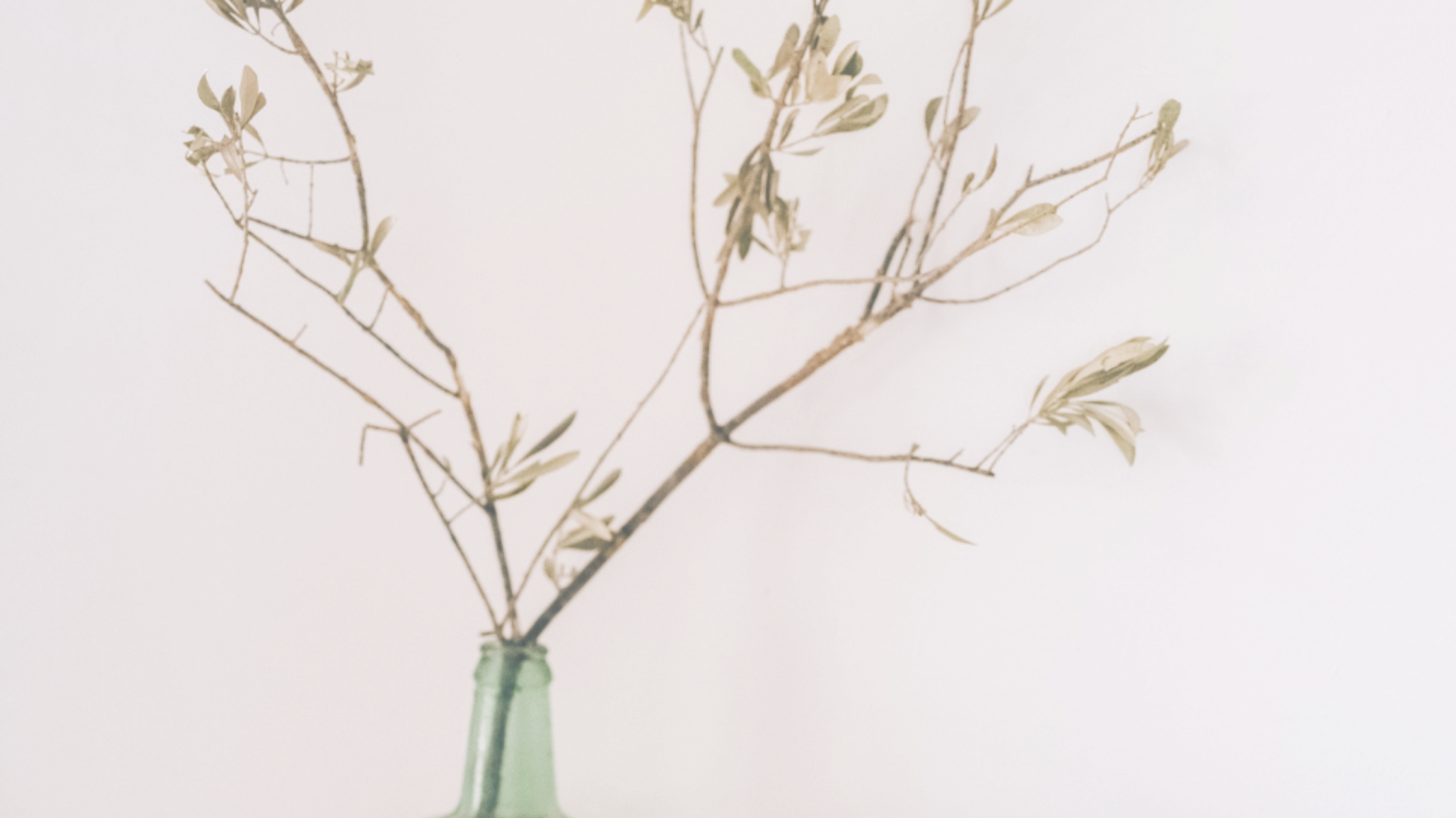 Dried branches with small leaves in a green glass bottle against a plain white background.