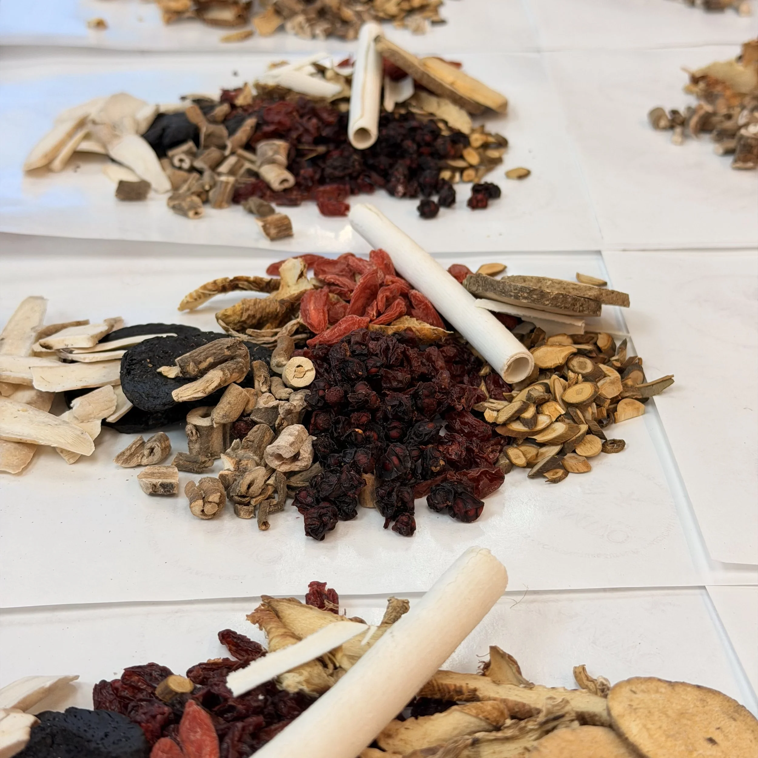 Various dried herbs, roots, and berries on a white surface.