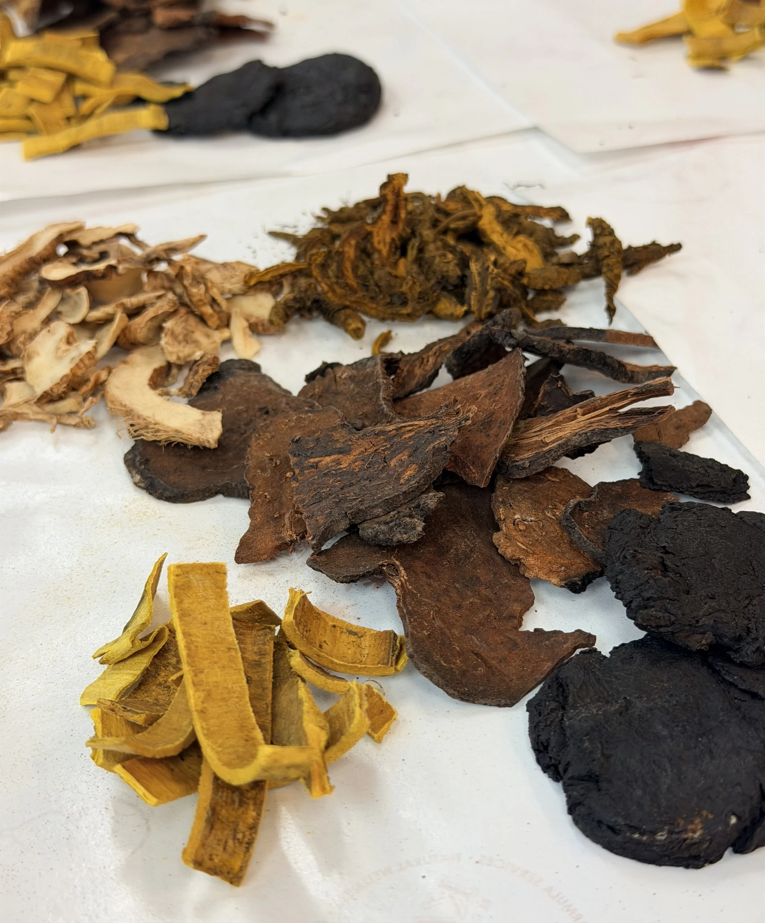 Various dried herbs and roots laid out on white paper.