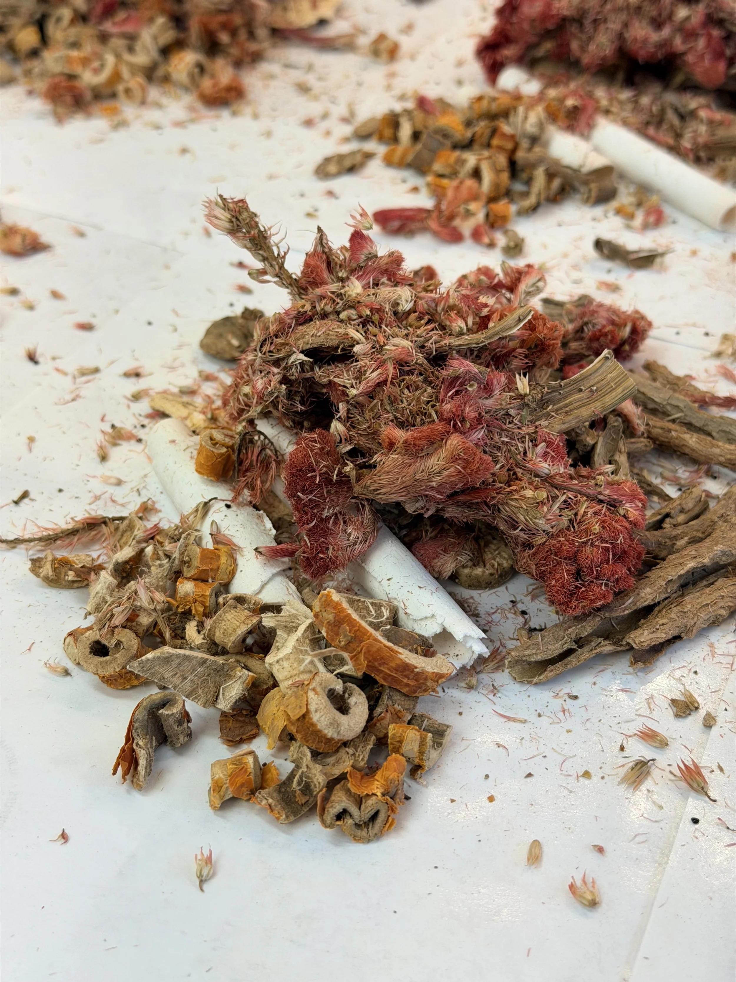 Herbal formulas supporting treatment in Chinese medicine