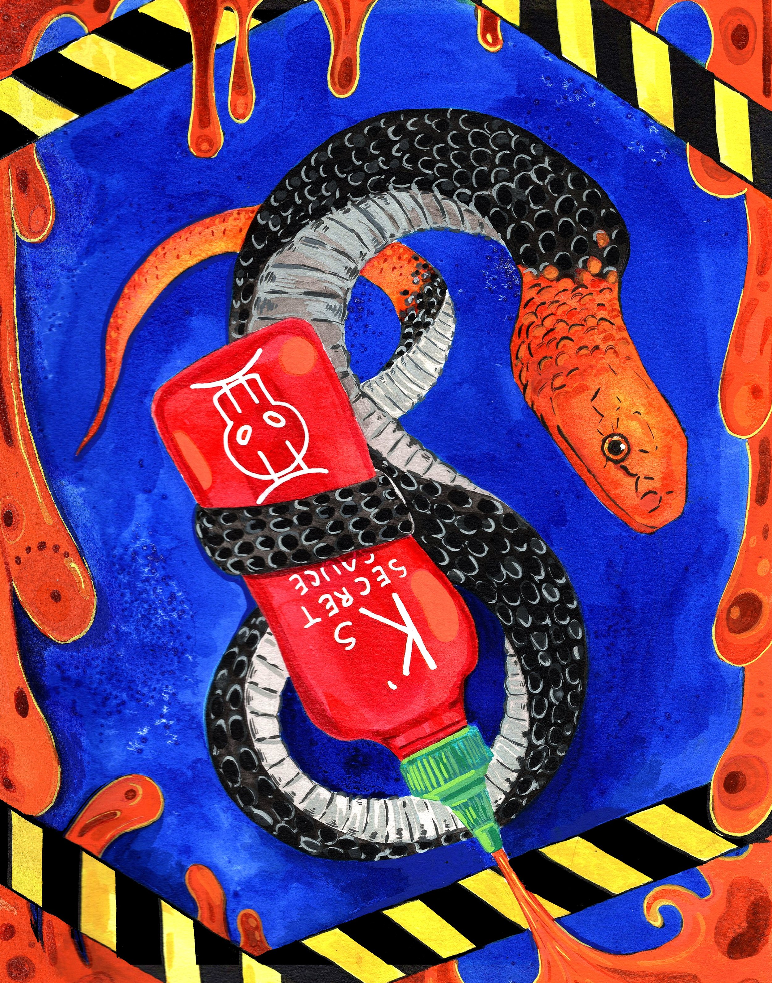 Fuller Red Headed Krait.jpg